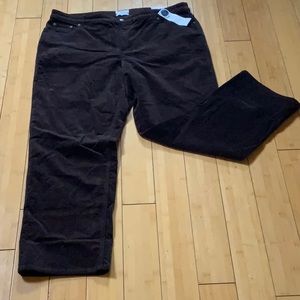 NWT Charter Club 98% cotton dark brown fine corduroy pants Size 18